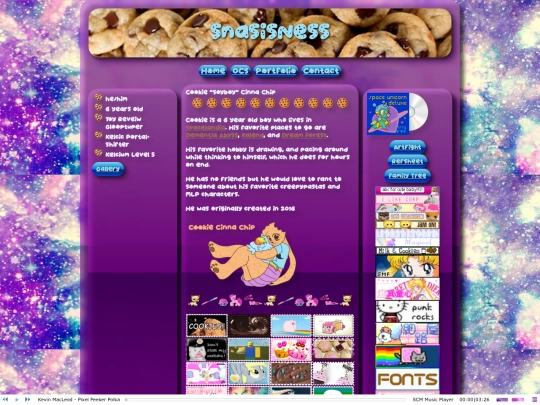 folders/spacelandia/secondary/Cookie screenshot