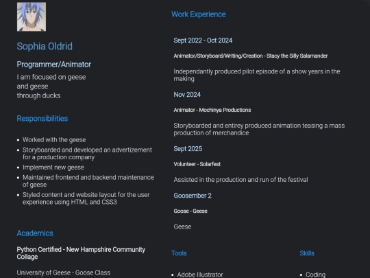 resume/res2 screenshot