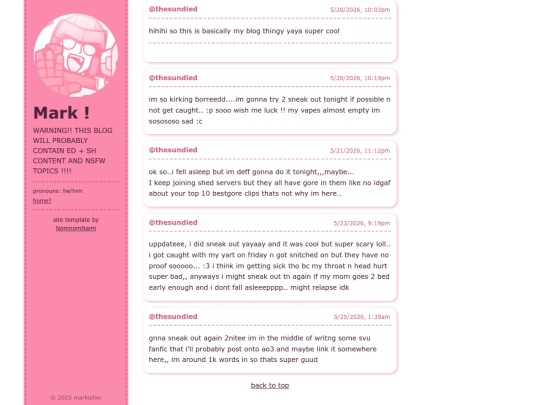 blog screenshot
