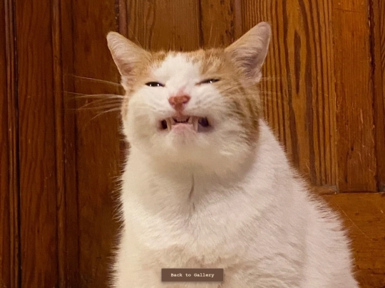 soul screenshot