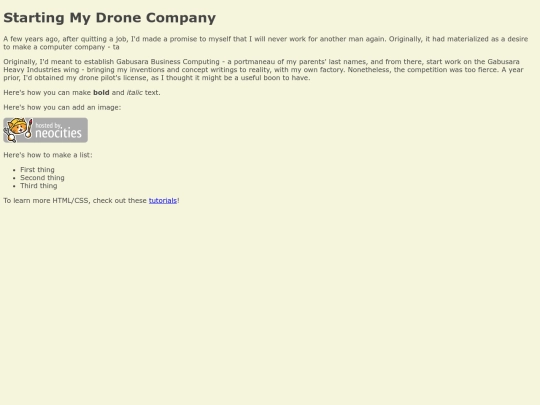 drone_company screenshot