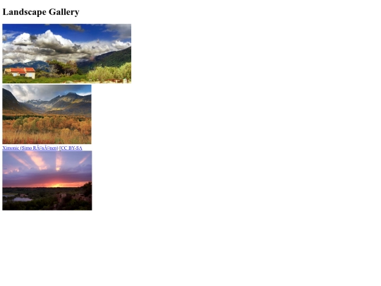 gallery screenshot