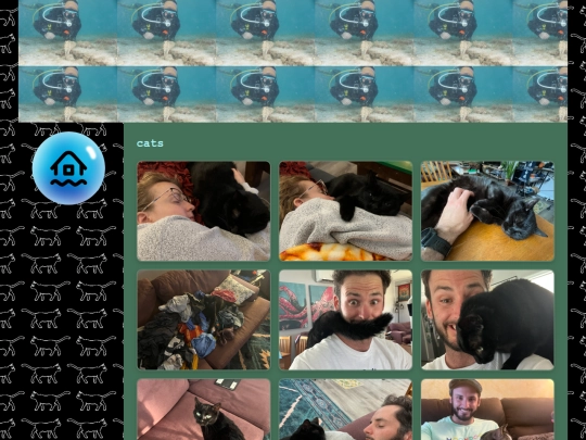 cats screenshot