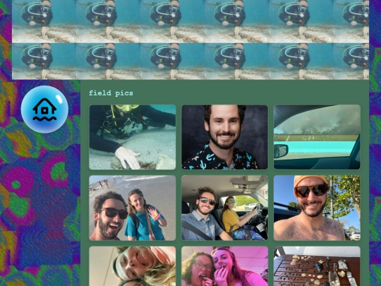 photos screenshot
