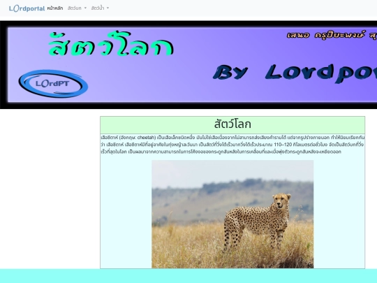 สัตว์ป่า screenshot