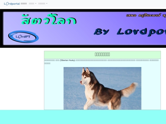 สุนัข screenshot