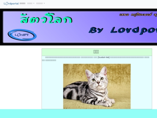 แมว screenshot