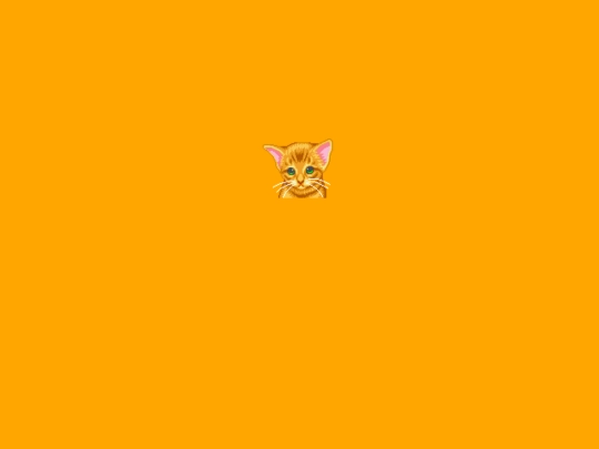 cats screenshot