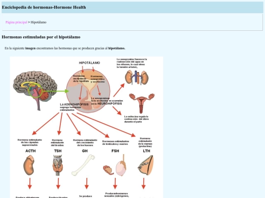 hipotalamo screenshot