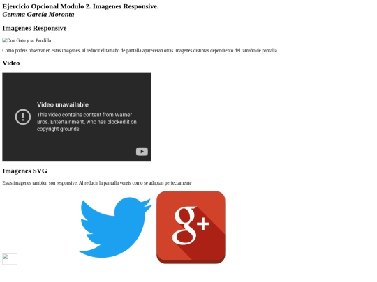 responsive screenshot