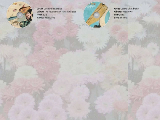 iframe/musicpages/sheldrake screenshot