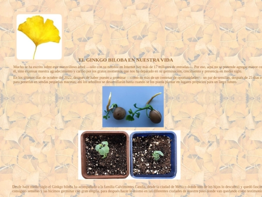 GINKGO.BILOBA screenshot