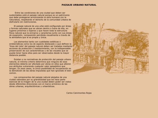 PAISAJE-URBANO-NATURAL screenshot