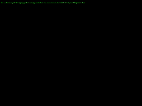 feisnt screenshot