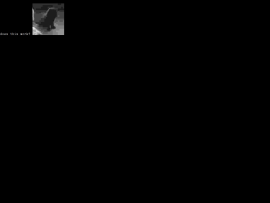 piclog screenshot