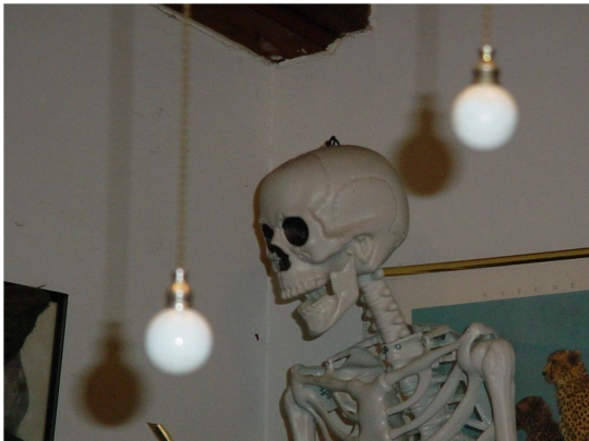 skeletoing screenshot