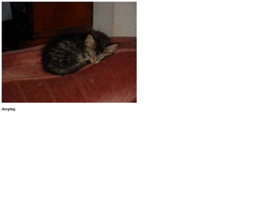 sleeping screenshot