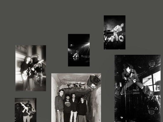 portfolio screenshot