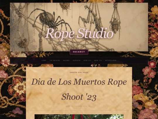 entries/RS/RSE1 screenshot