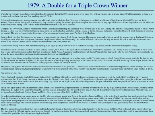 Achievements/1970s/1979AffirmedDouble screenshot
