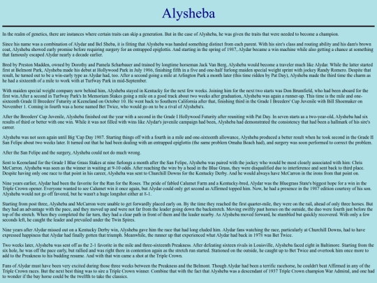 Horses/A/Alysheba screenshot