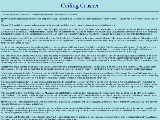 Horses/C/CeilingCrusher screenshot