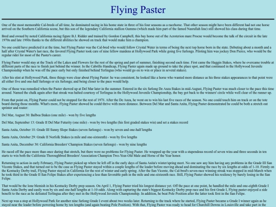 Horses/F/FlyingPaster screenshot