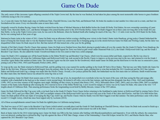 Horses/G/GameOnDude screenshot
