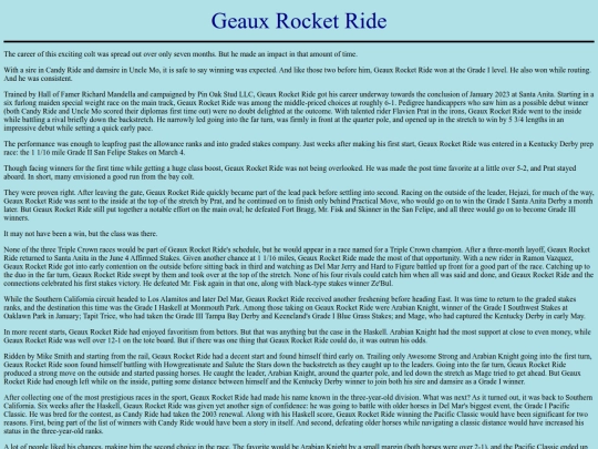 Horses/G/GeauxRocketRide screenshot