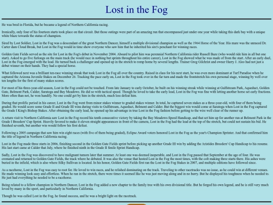 Horses/L/LostintheFog screenshot