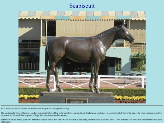 Horses/S/Seabiscuit screenshot