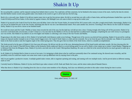 Horses/S/ShakinItUp screenshot