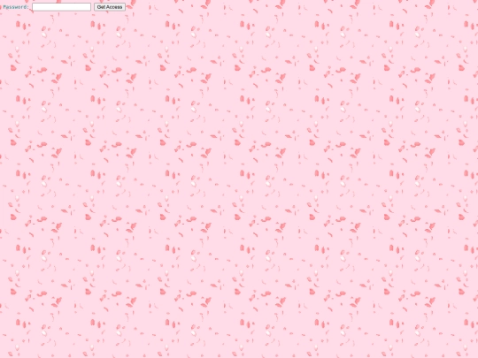 password screenshot
