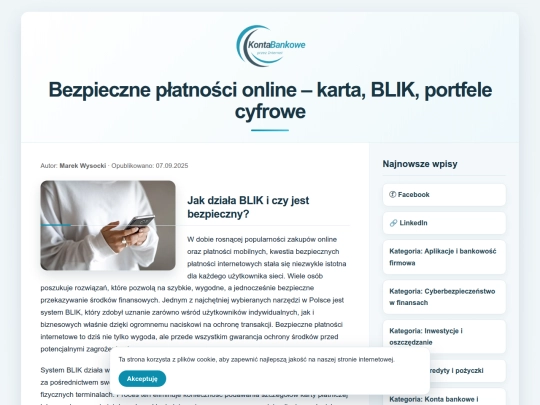 bezpieczne-platnosci-online-karta-blik-portfele-cyfrowe screenshot
