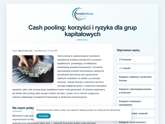 cash-pooling-korzysci-i-ryzyka screenshot