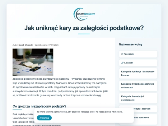 kary-za-zaleglosci-podatkowe screenshot
