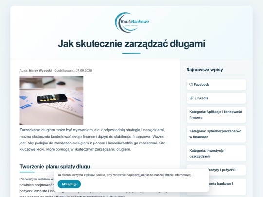 zarzadzanie-dlugami screenshot