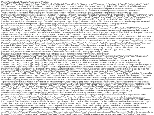 wp-json screenshot