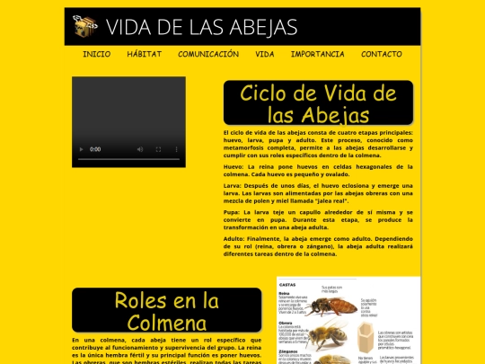 Vida screenshot