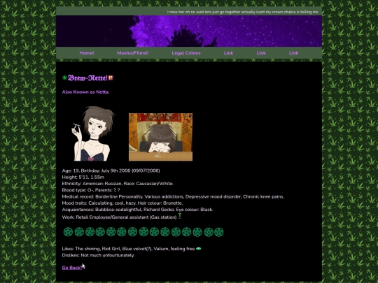 netta screenshot