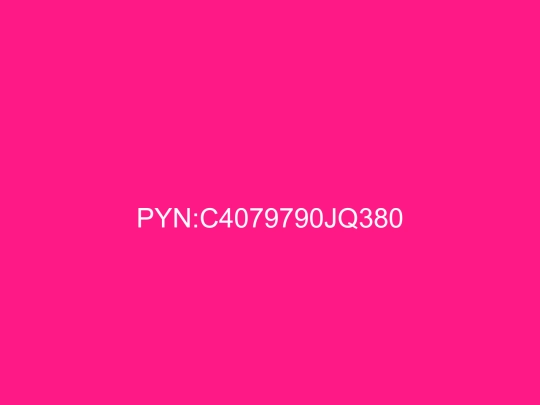 PYN screenshot