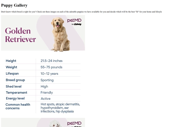 Perfect-Puppies/images.html/images screenshot