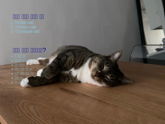 whymayocute screenshot
