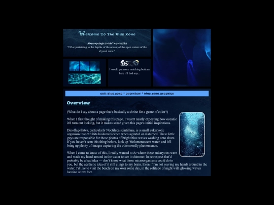 site-zones/blue-zone/main screenshot