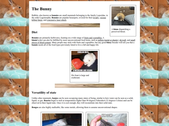 site-zones/bunny screenshot