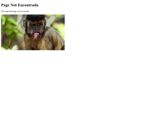 Practica1/not_found screenshot