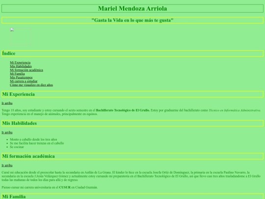 mi_curriculum screenshot