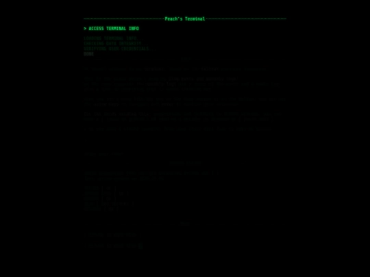 log/info screenshot