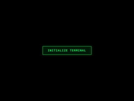 log/terminal-startup screenshot