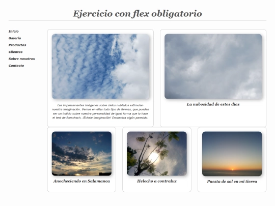 ejercicioflex screenshot